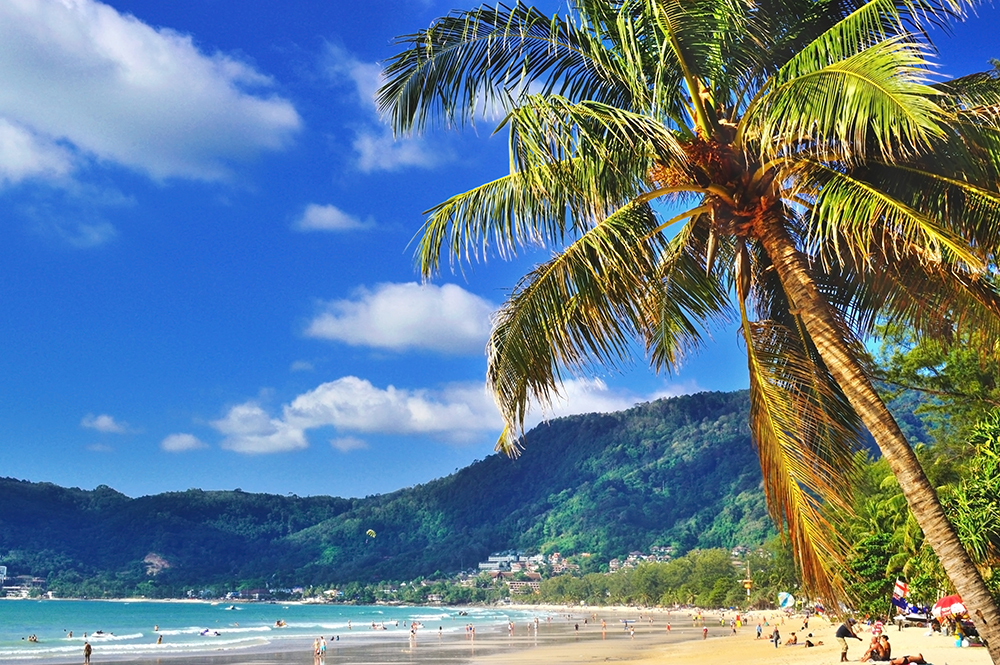 Patong beach with coconut trees