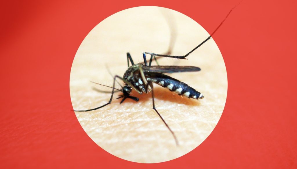 26-3 Time to Prepare Be Dengue Aware
