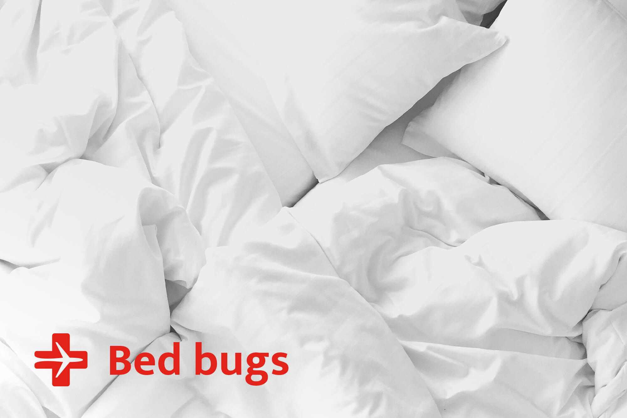 bed bugs, travel clinic vancouver, travel advice, travel allergies