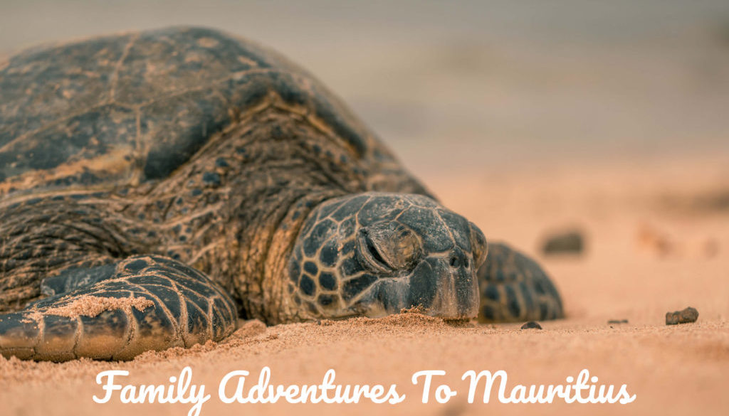 Family-Adventures-To-Mauritius