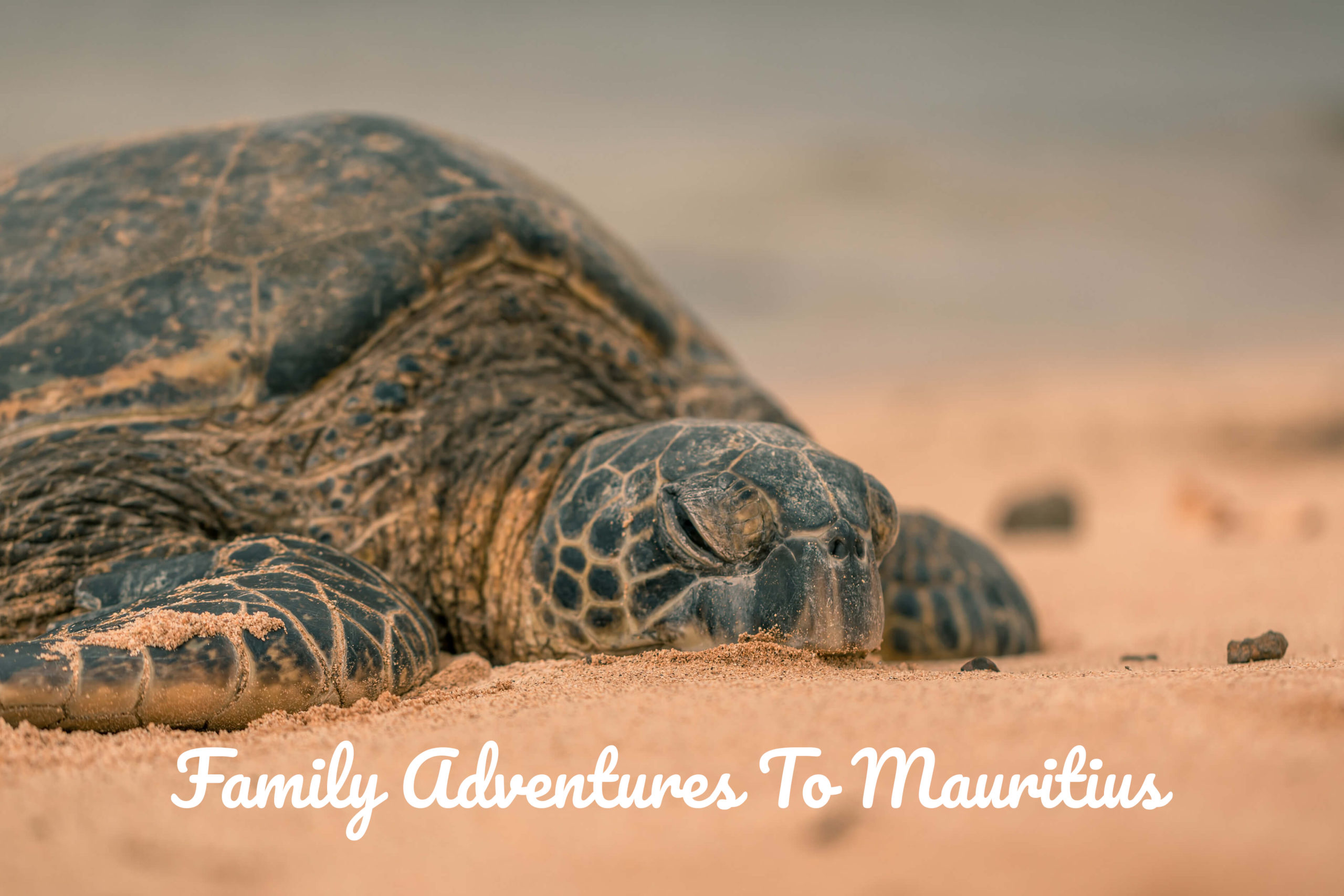 Family-Adventures-To-Mauritius