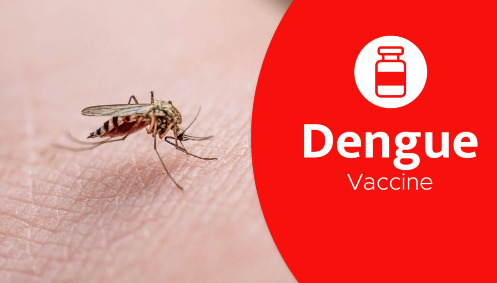 the dengue vaccine