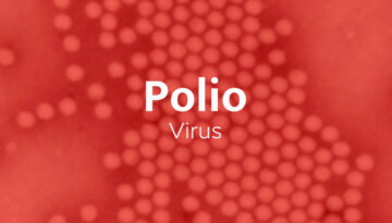 poliovirus-(WPV)